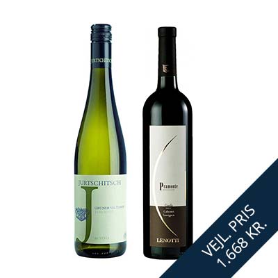 Vingave 12 elegante vine fra Italien og Østrig